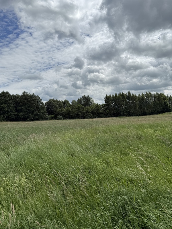 Działka pod zabudowę jednorodzinną w okolicy Ełku - 8
