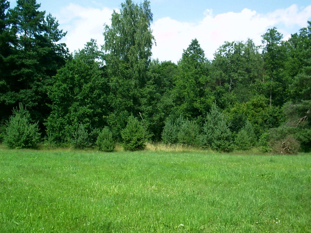 Działka pod zabudowę jednorodzinną w okolicy Ełku - 0