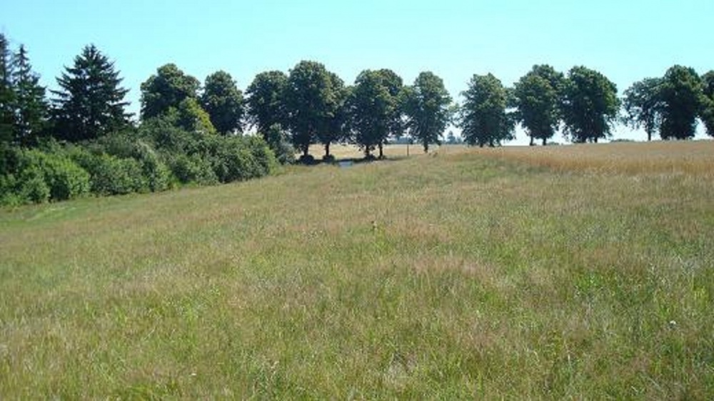 Działka budowlana nad jeziorem Słonowice – możliwość zabudowy 3 domów - 2