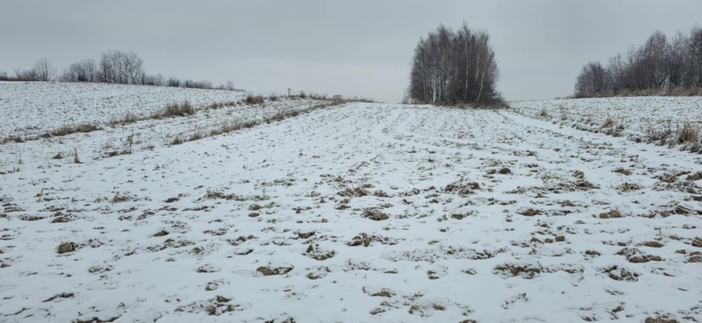 Sprzedam działkę rolną 5800 m² – Garlica Murowana, gm. Zielonki - 1