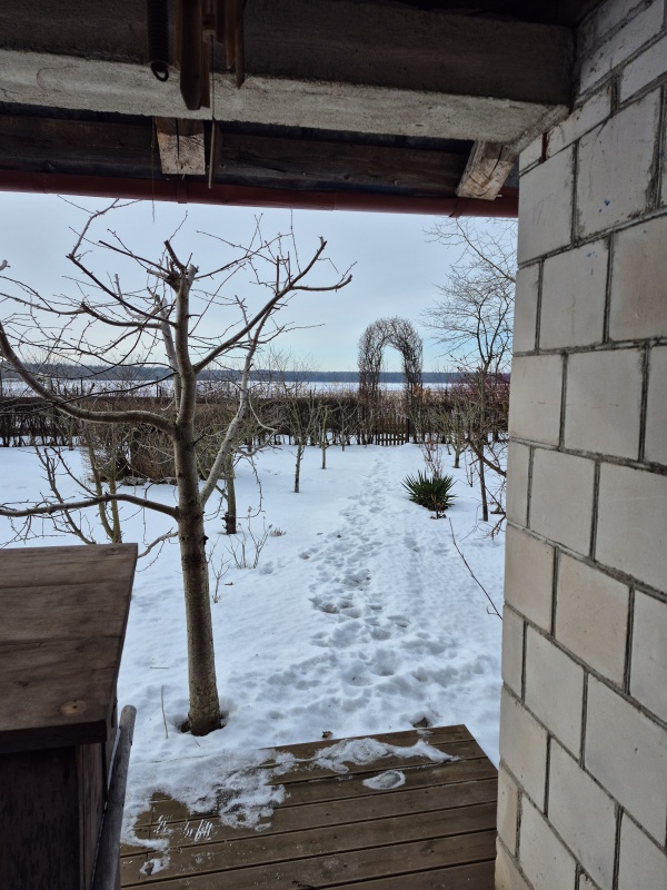 Działka ROD Mickiewicza - 5