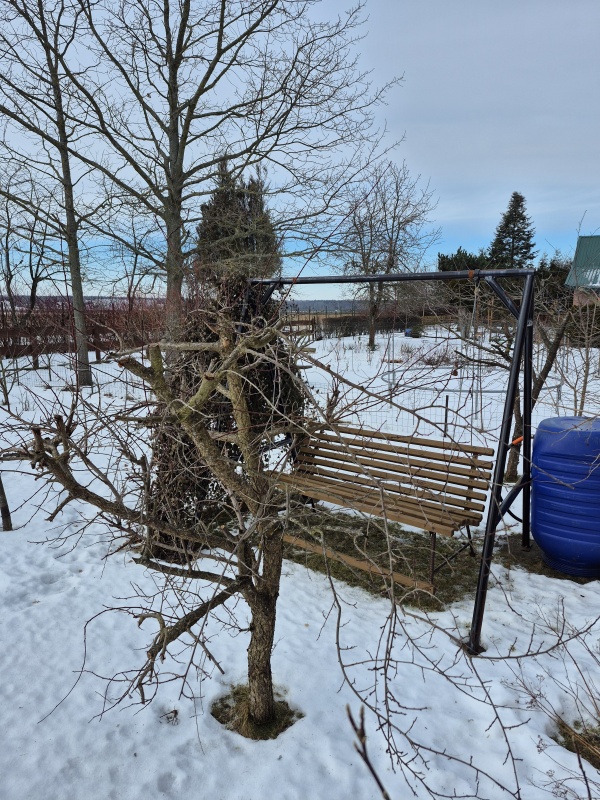 Działka ROD Mickiewicza - 6