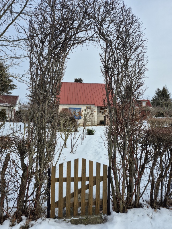 Działka ROD Mickiewicza - 8