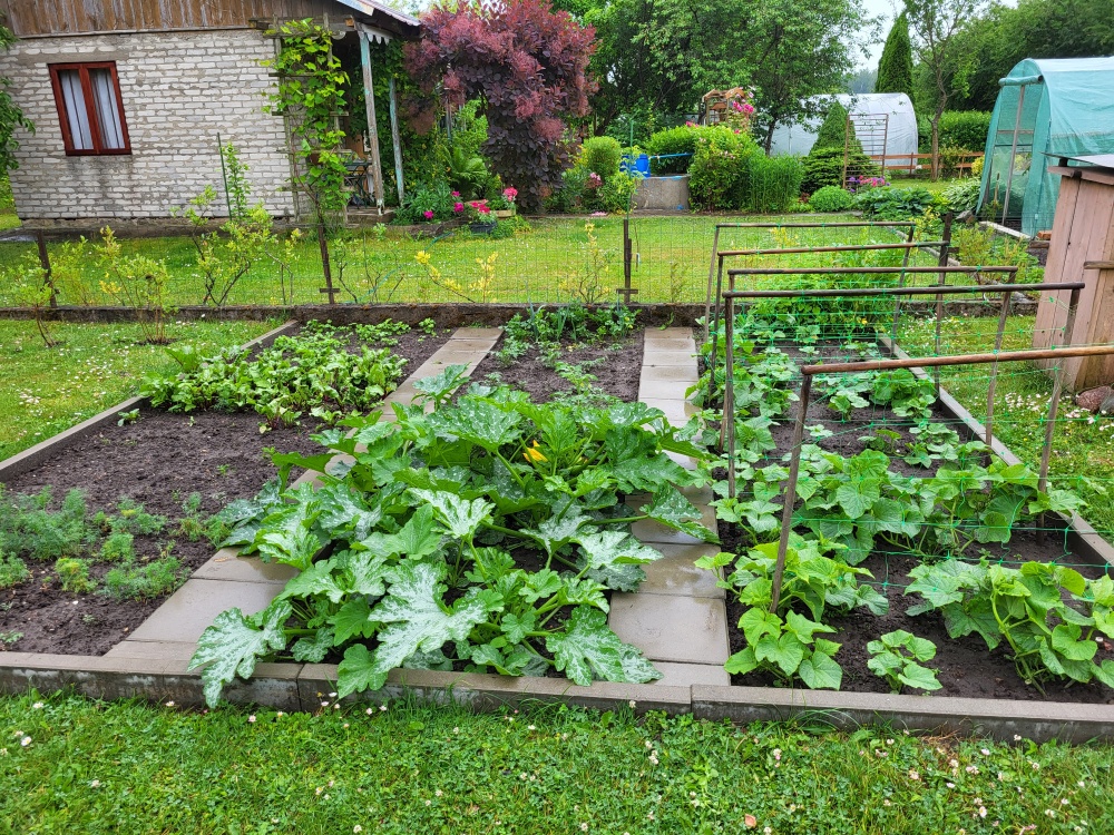 Działka ROD Mickiewicza - 10