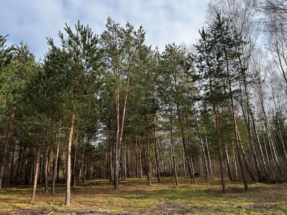 UROKLIWE MIEJSCE BLISKO NATURY  - 4