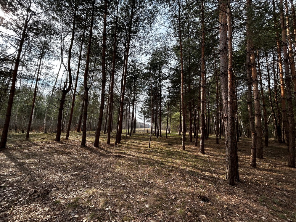 UROKLIWE MIEJSCE BLISKO NATURY  - 5