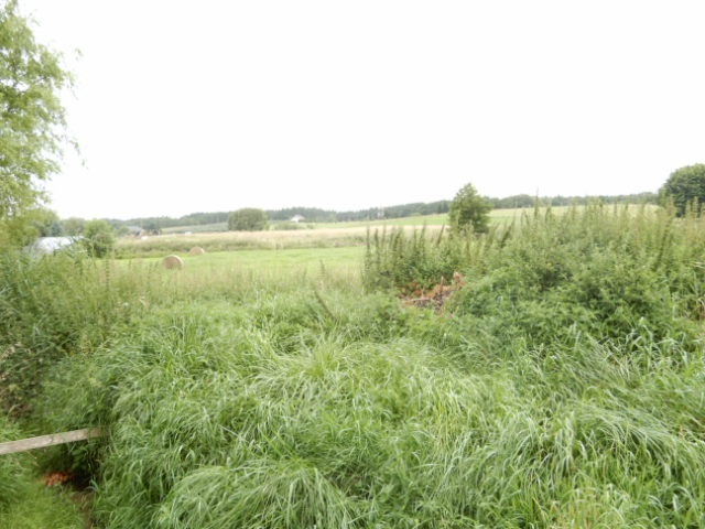 Syndyk sprzeda nieruchomość w Przybiernowie woj. zachodniopomorskie  - 12