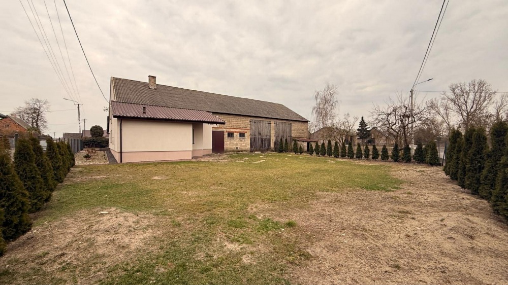 Na sprzedaż siedlisko Ratyń, 3ha blisko Warty - 1