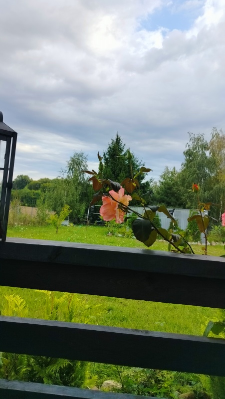Wyjątkowa działka rekreacyjna blisko jeziora | Radzynek, gm. Brzuze - 1