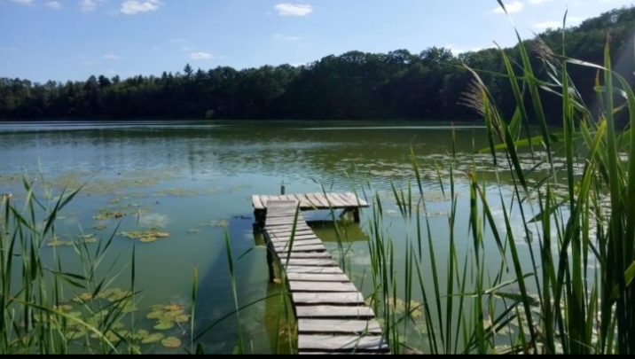Działka na Kaszubach ,150 m od jeziora | MPZP + pozwolenie | Media | Natura 2000| Las - 5