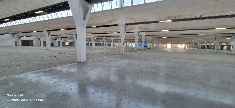 Hala magazynowa 12.500m2 - 6