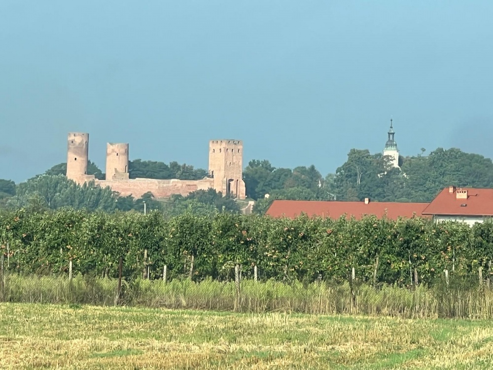 SUPER DZIAŁKA BUDOWLANA okolice Czerska - 7