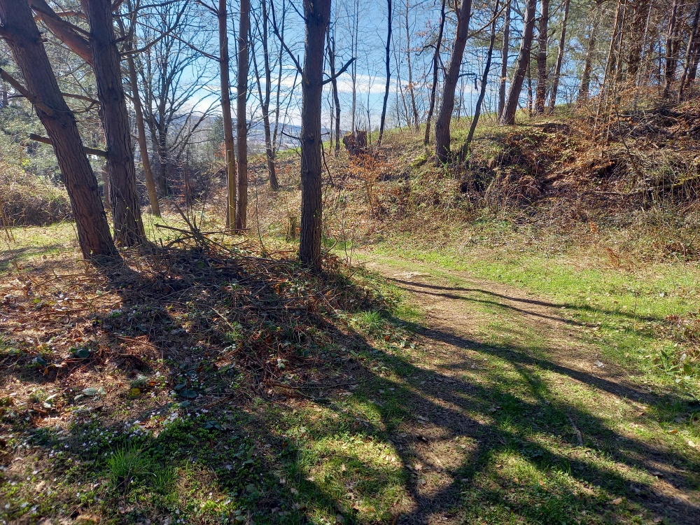 Na sprzedaż działka w Sanoku, w dzielnicy Olchowce - 11