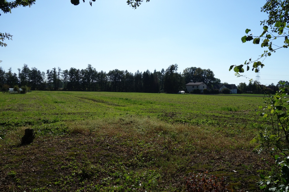 Skoczów Ochaby 1,57ha z częścią budowlaną 55ar i pod usługi - 4