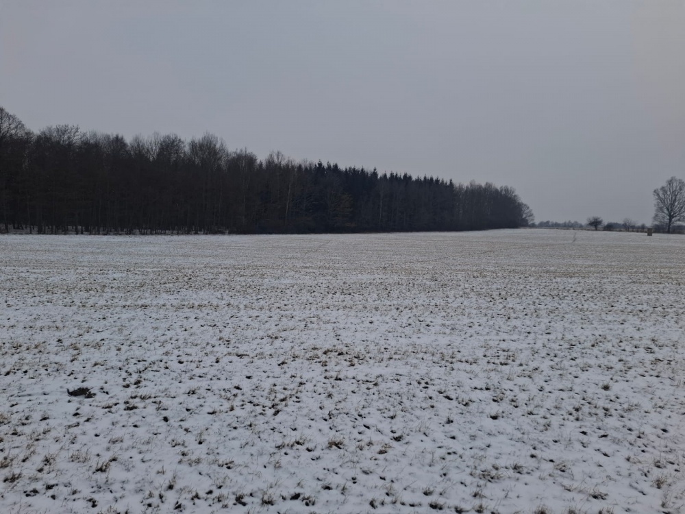 16 ha ziemi Gorzanów   - 2