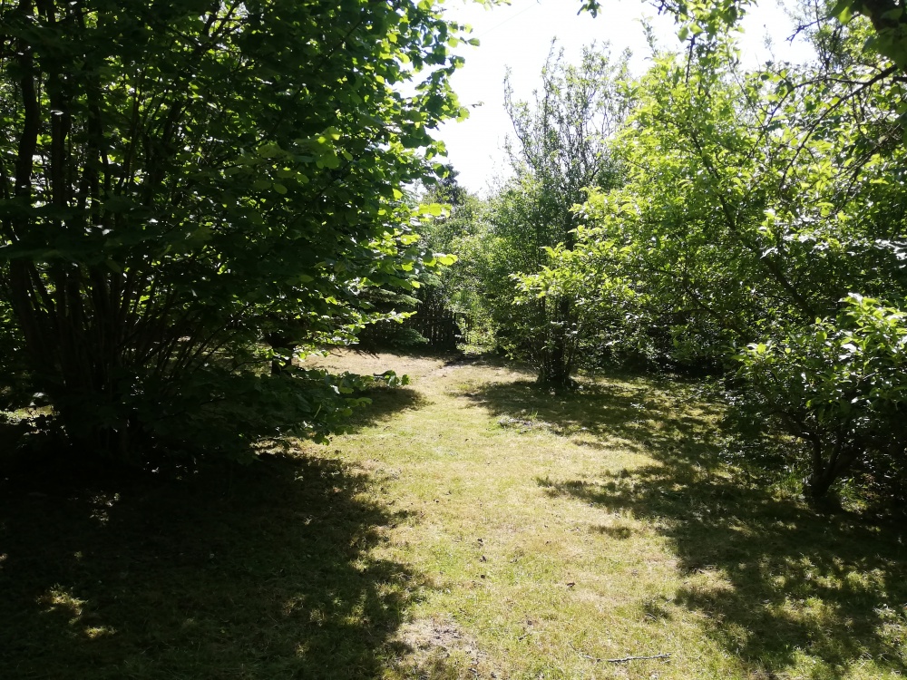 Działka ROD Żeromskiego 300 m - 2