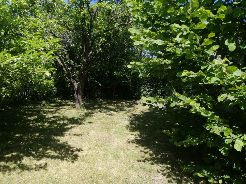 Działka ROD Żeromskiego 300 m - 3