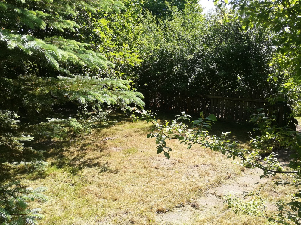 Działka ROD Żeromskiego 300 m - 6