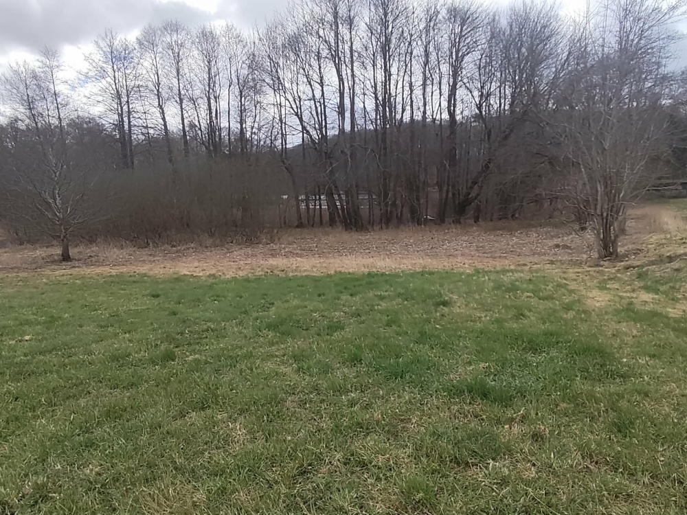 Działka 1,33 ha z brzegiem Jeziora Dużego (Orle, pow. kościerski) i warunkami zabudowy - 4