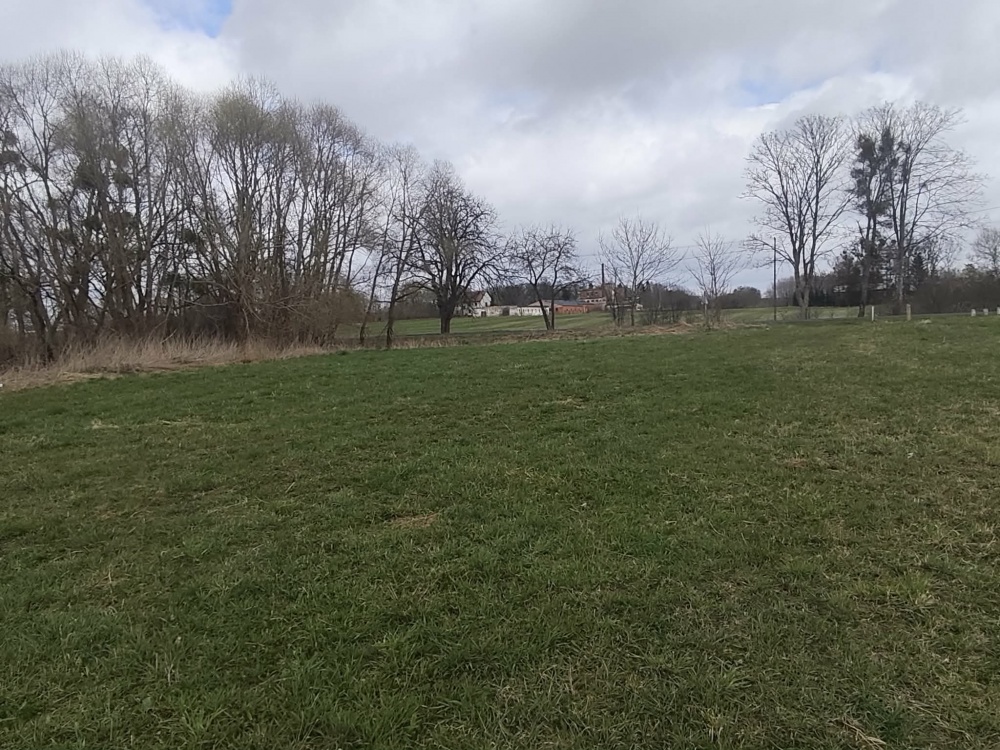 Działka 1,33 ha z brzegiem Jeziora Dużego (Orle, pow. kościerski) i warunkami zabudowy - 5