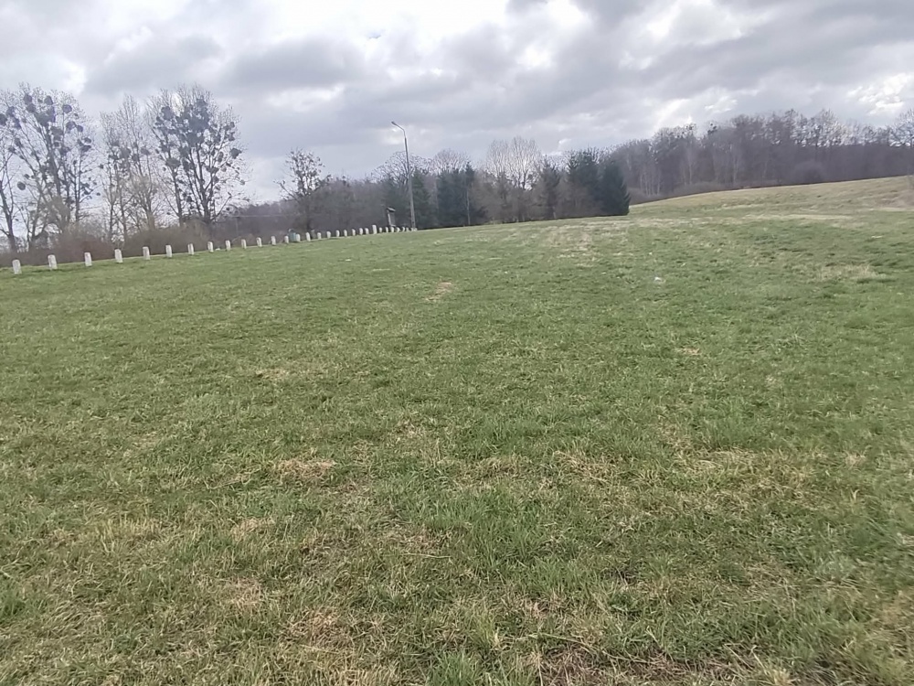 Działka 1,33 ha z brzegiem Jeziora Dużego (Orle, pow. kościerski) i warunkami zabudowy - 6