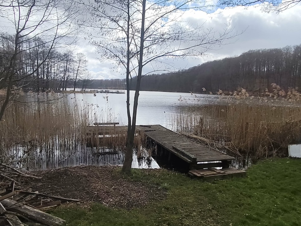 Działka 1,33 ha z brzegiem Jeziora Dużego (Orle, pow. kościerski) i warunkami zabudowy - 0