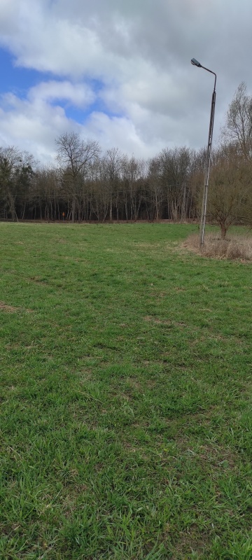 Działka 1,33 ha z brzegiem Jeziora Dużego (Orle, pow. kościerski) i warunkami zabudowy - 7