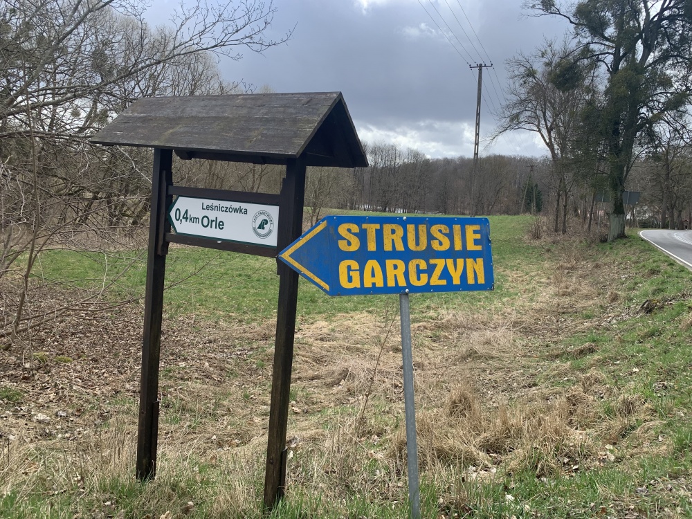 Działka 1,33 ha z brzegiem Jeziora Dużego (Orle, pow. kościerski) i warunkami zabudowy - 8