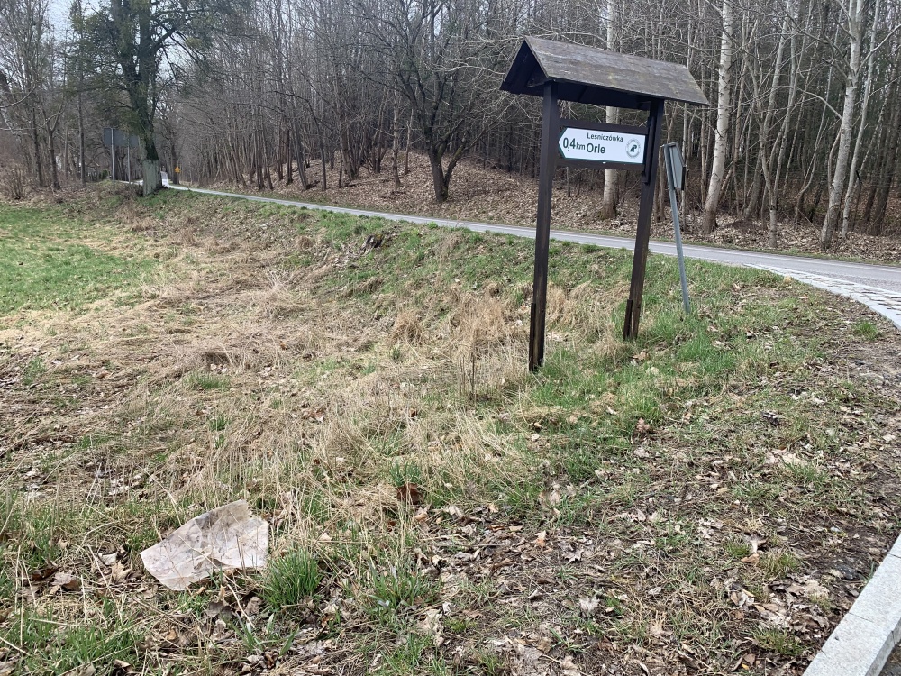 Działka 1,33 ha z brzegiem Jeziora Dużego (Orle, pow. kościerski) i warunkami zabudowy - 9