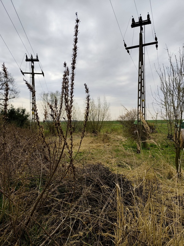 Domek z działką - Sadogóra  - 4