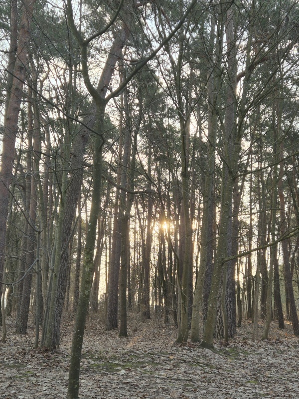 Mieszkanie 62m2 plaża jezioro las jasne  - 11