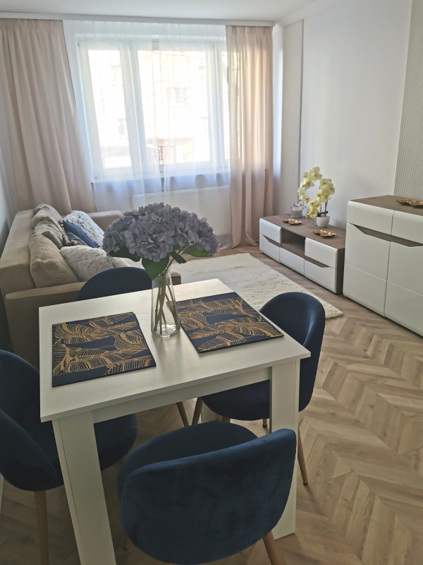 Bez prowizji po remoncie 43 mkw parter k. WSIZ i Parku Sybiraków  - 1