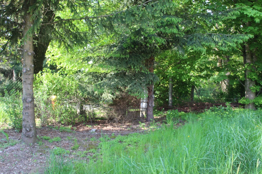 Wynajmę posesję - duży dom, duża działka na min. 10 lat - 18