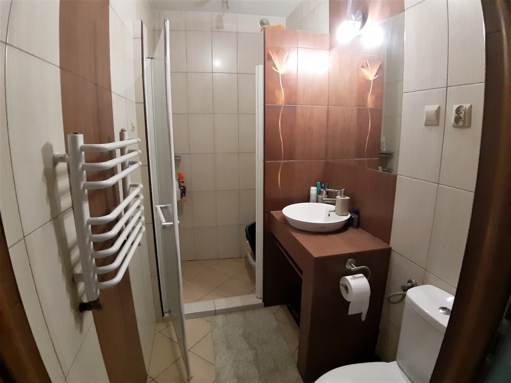 Duży dom i budynki „na biznes” - 8