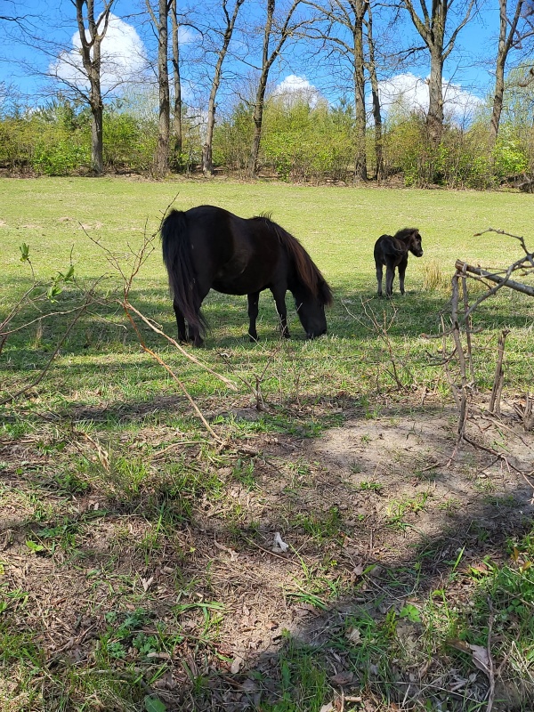 Dom letniskowy nad jeziorem - 18