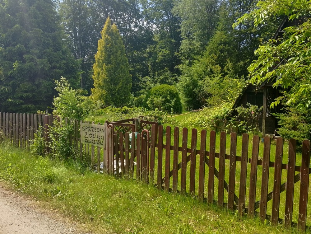 Działka ROD Olszanka gmina Przywidz - 1