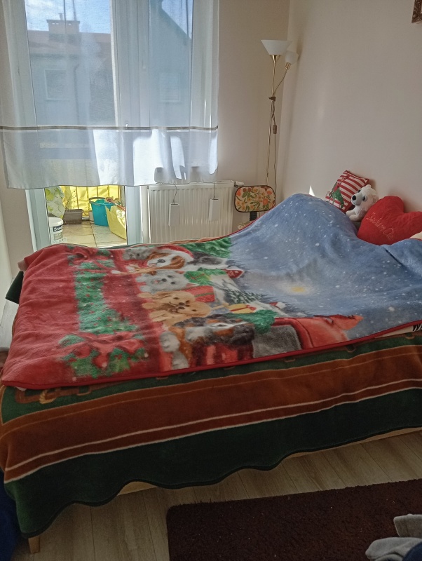 Wynajmę mieszkanie  - 2