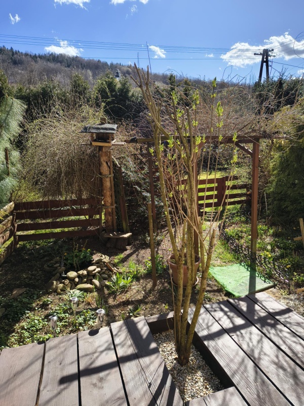 Sprzedam dom w centrum Stróży koło Myślenic - 10