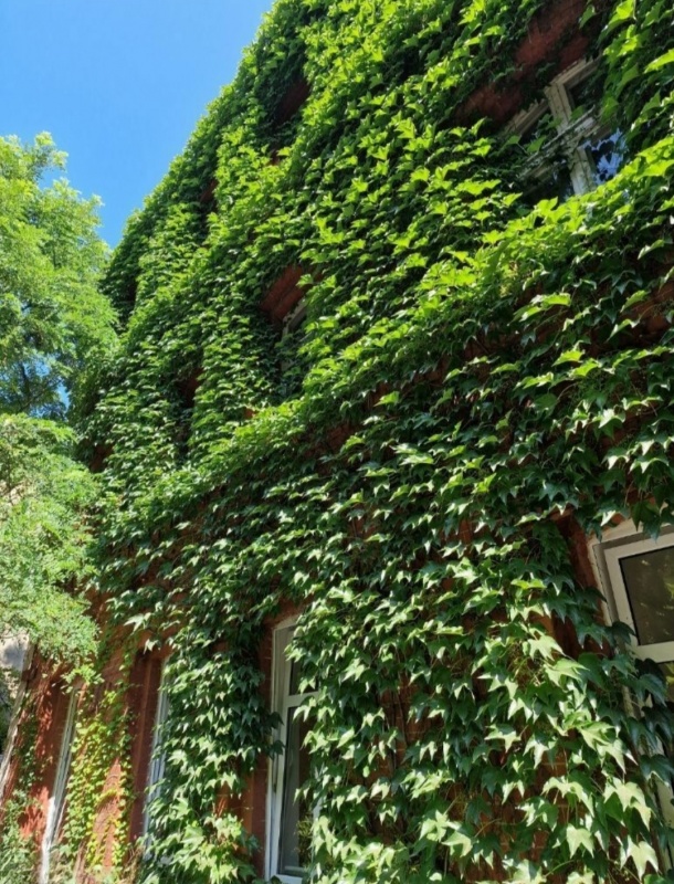 Wynajmę bezpośrednio od właściciela  - 7