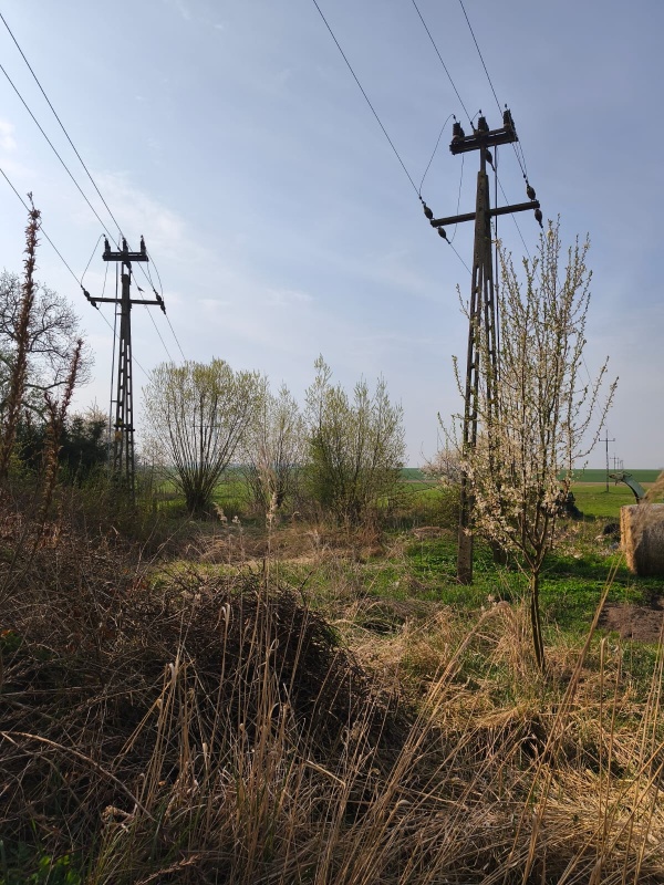 Domek z działką - Sadogóra  - 5