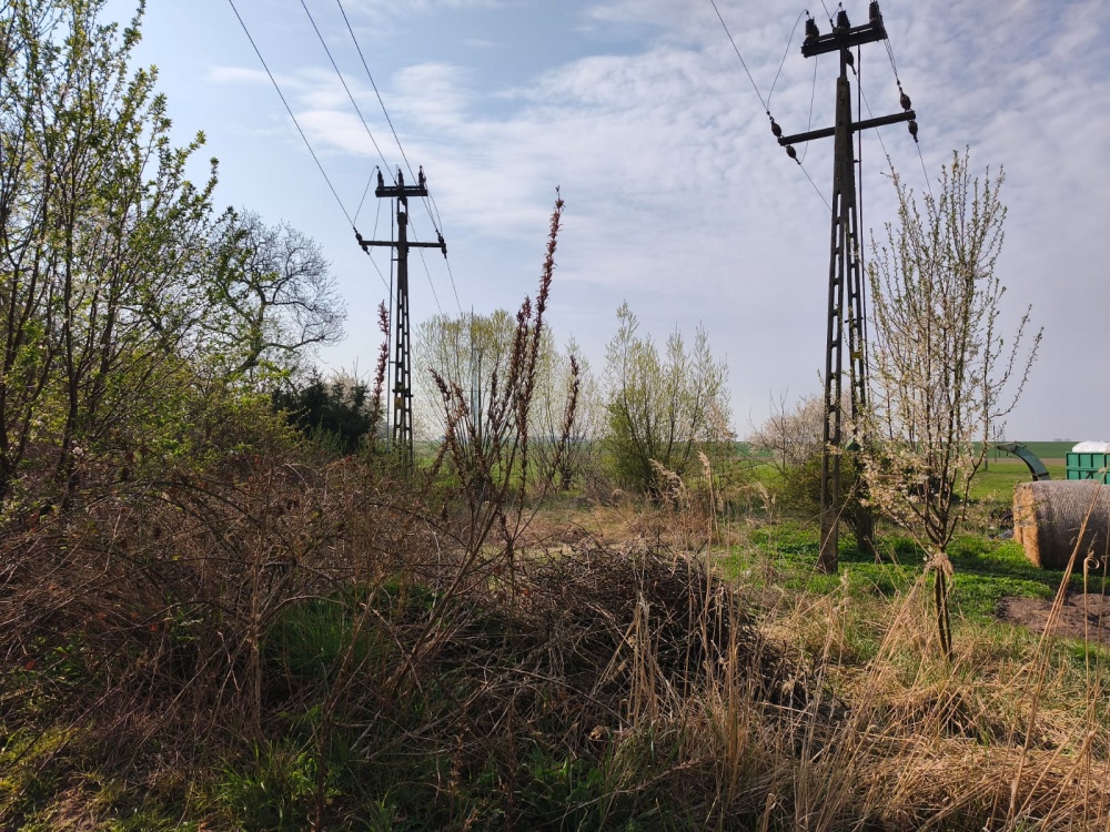 Domek z działką - Sadogóra  - 9