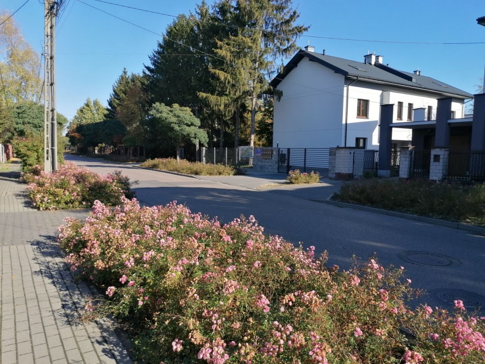 Nowe 3-pok. mieszkanie z ogródkiem i 2 miejscami postojowymi - 0