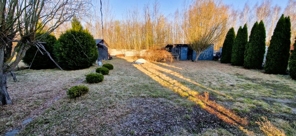 Dom + działka Lipówki (gmina Pilawa) - 13