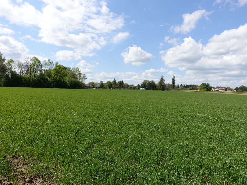 Skoczów Pruchna 1,15ha pod zabudowe stadnine lux lokalizacja - 1