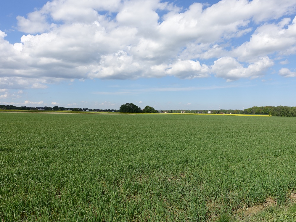 Skoczów Pruchna 1,15ha pod zabudowe stadnine lux lokalizacja - 2
