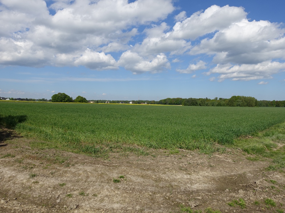 Skoczów Pruchna 1,15ha pod zabudowe stadnine lux lokalizacja - 3