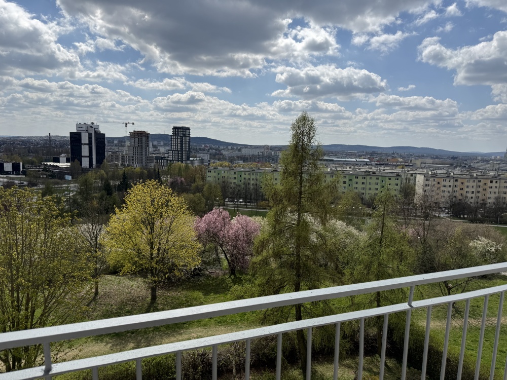 Panorama Kielc , widok na park - 0
