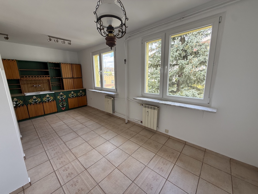 Panorama Kielc , widok na park - 3