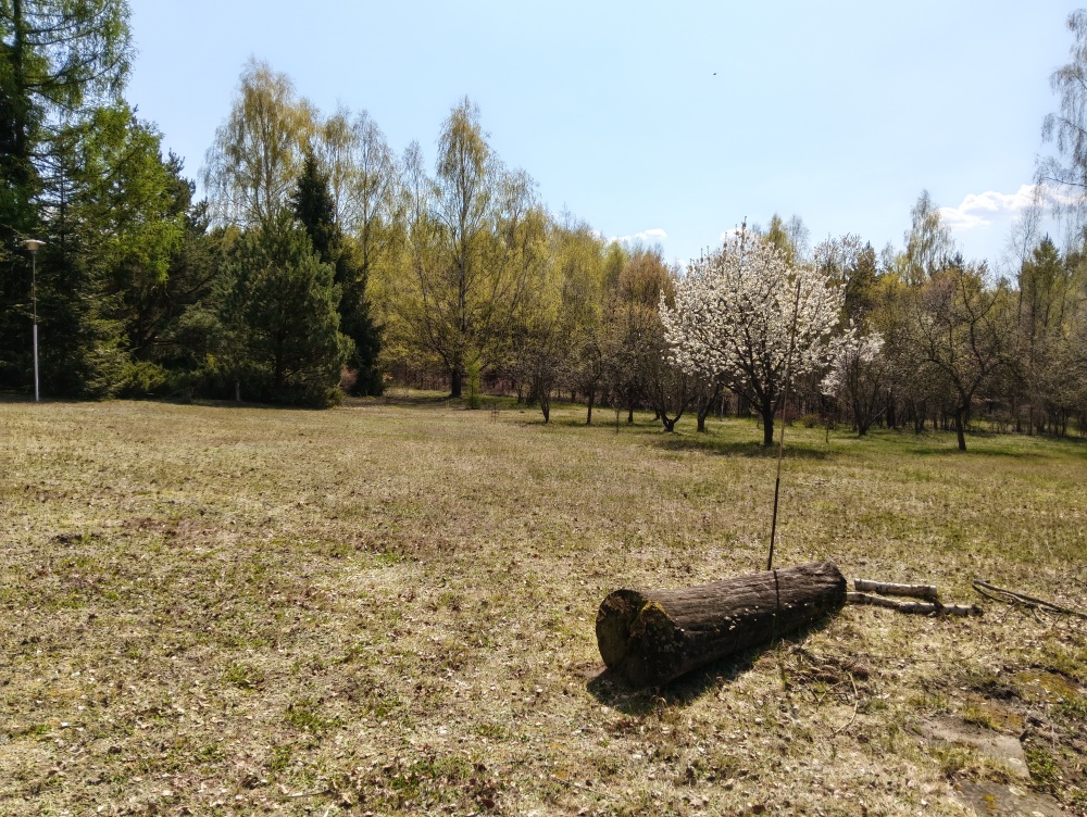 piekna dzialka dla odpowiediego klijenta - 1