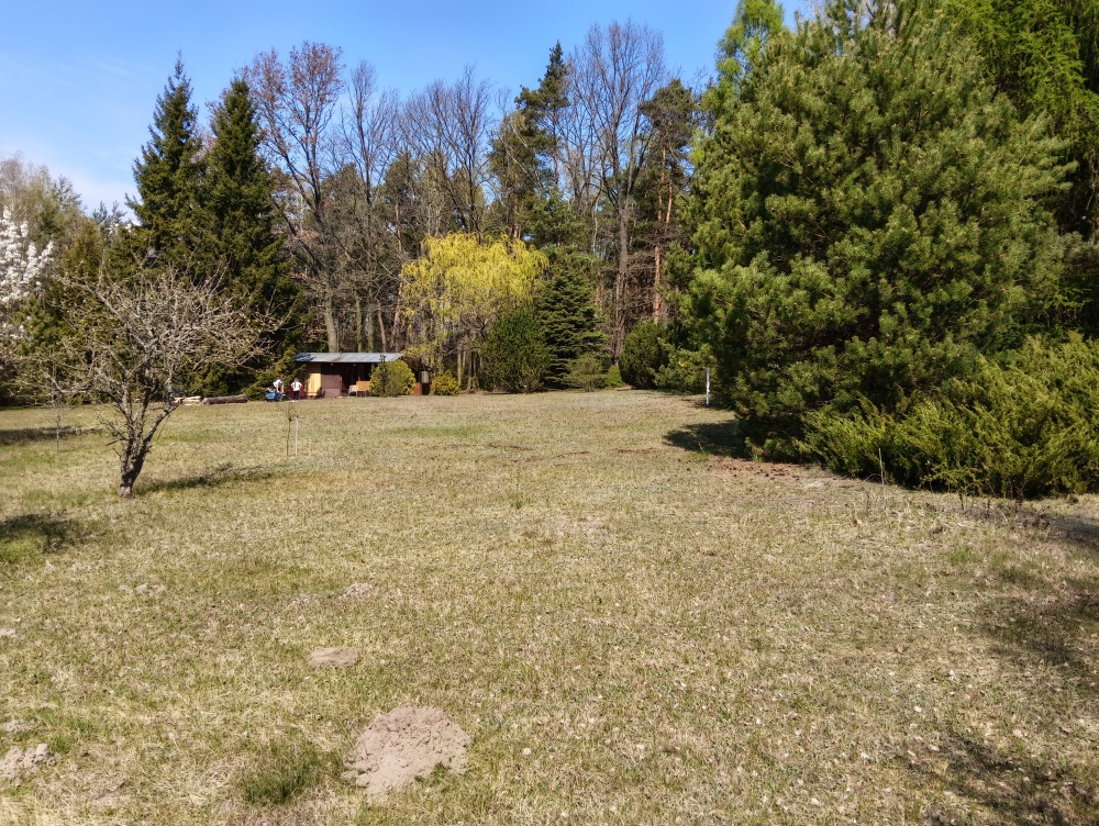 piekna dzialka dla odpowiediego klijenta - 2